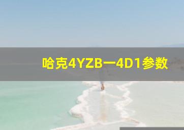 哈克4YZB一4D1参数