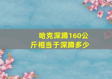 哈克深蹲160公斤相当于深蹲多少