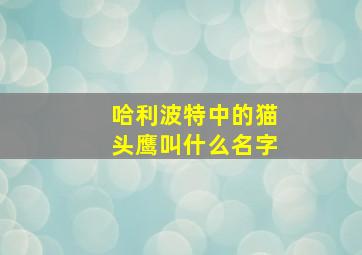 哈利波特中的猫头鹰叫什么名字