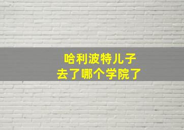 哈利波特儿子去了哪个学院了