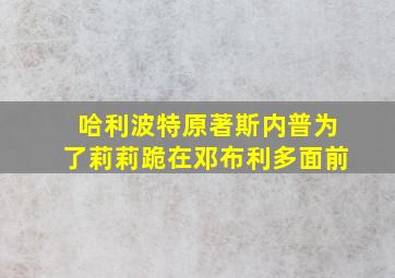 哈利波特原著斯内普为了莉莉跪在邓布利多面前