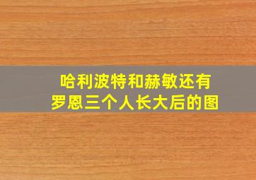 哈利波特和赫敏还有罗恩三个人长大后的图