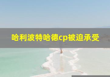 哈利波特哈德cp被迫承受