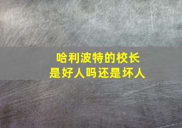 哈利波特的校长是好人吗还是坏人