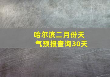 哈尔滨二月份天气预报查询30天