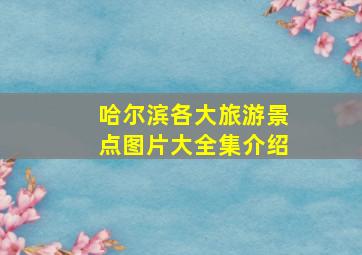 哈尔滨各大旅游景点图片大全集介绍