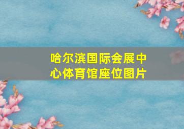 哈尔滨国际会展中心体育馆座位图片