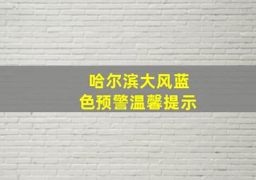 哈尔滨大风蓝色预警温馨提示