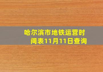 哈尔滨市地铁运营时间表11月11日查询