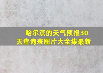 哈尔滨的天气预报30天查询表图片大全集最新