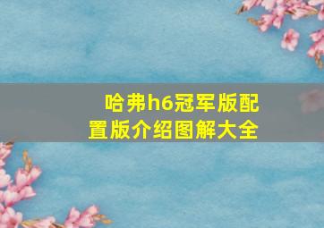 哈弗h6冠军版配置版介绍图解大全