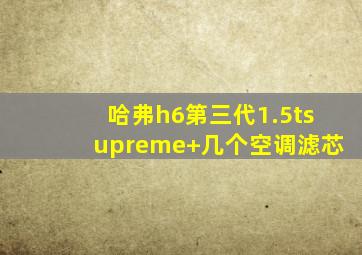 哈弗h6第三代1.5tsupreme+几个空调滤芯