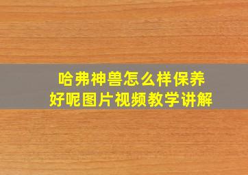 哈弗神兽怎么样保养好呢图片视频教学讲解