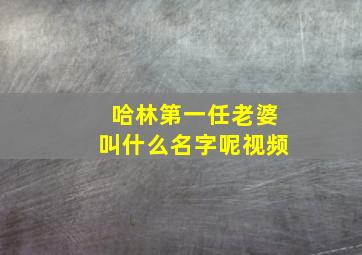 哈林第一任老婆叫什么名字呢视频