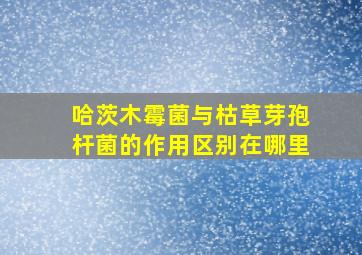 哈茨木霉菌与枯草芽孢杆菌的作用区别在哪里