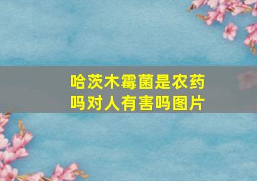 哈茨木霉菌是农药吗对人有害吗图片