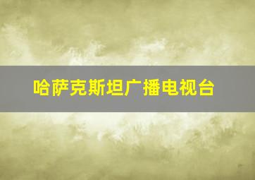 哈萨克斯坦广播电视台