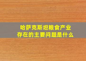 哈萨克斯坦粮食产业存在的主要问题是什么