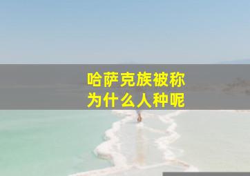 哈萨克族被称为什么人种呢