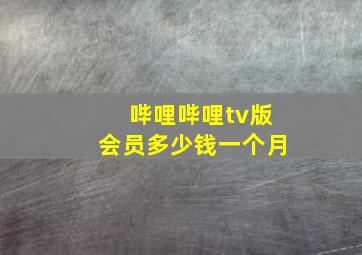 哔哩哔哩tv版会员多少钱一个月