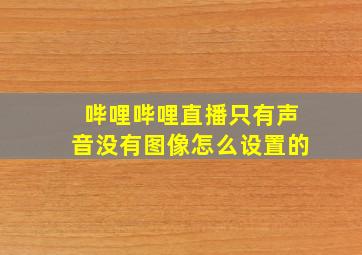 哔哩哔哩直播只有声音没有图像怎么设置的