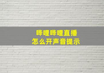 哔哩哔哩直播怎么开声音提示