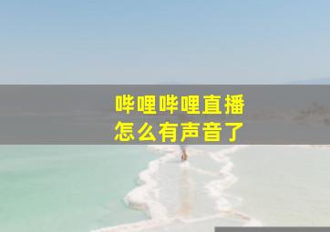 哔哩哔哩直播怎么有声音了