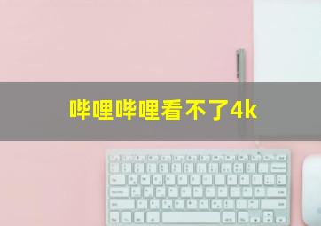 哔哩哔哩看不了4k