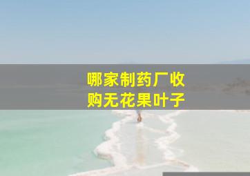 哪家制药厂收购无花果叶子