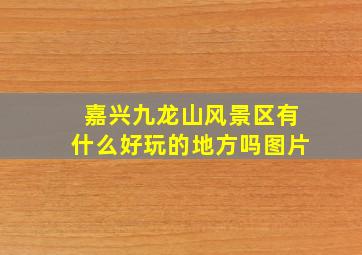 嘉兴九龙山风景区有什么好玩的地方吗图片