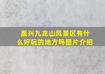 嘉兴九龙山风景区有什么好玩的地方吗图片介绍