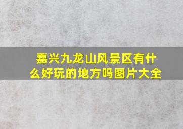 嘉兴九龙山风景区有什么好玩的地方吗图片大全