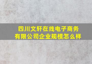 四川文轩在线电子商务有限公司企业规模怎么样