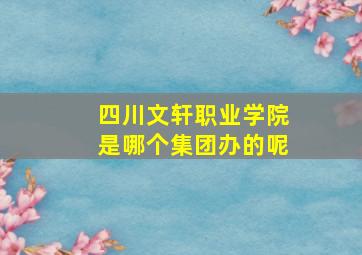 四川文轩职业学院是哪个集团办的呢