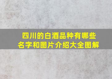 四川的白酒品种有哪些名字和图片介绍大全图解