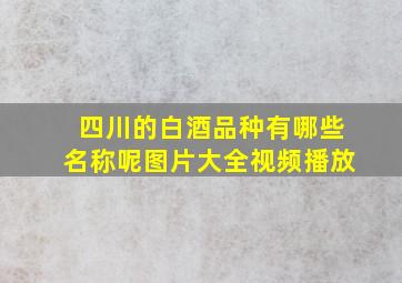 四川的白酒品种有哪些名称呢图片大全视频播放