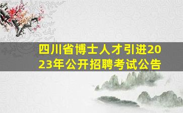 四川省博士人才引进2023年公开招聘考试公告