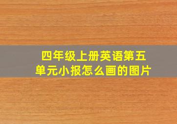 四年级上册英语第五单元小报怎么画的图片