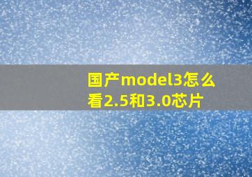 国产model3怎么看2.5和3.0芯片