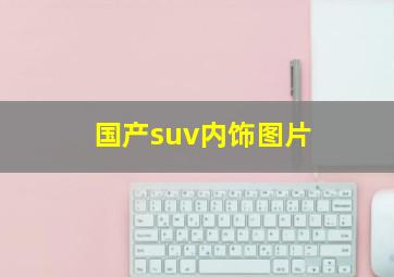 国产suv内饰图片