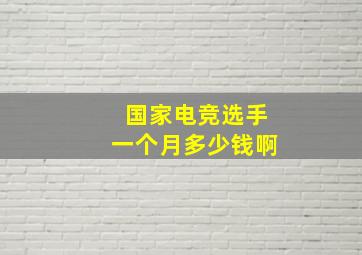 国家电竞选手一个月多少钱啊