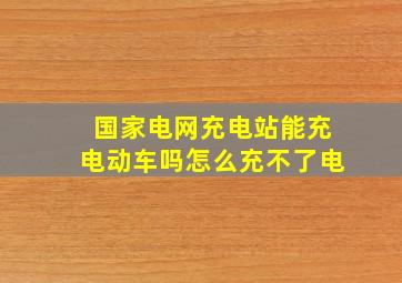 国家电网充电站能充电动车吗怎么充不了电