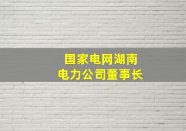 国家电网湖南电力公司董事长