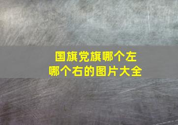 国旗党旗哪个左哪个右的图片大全