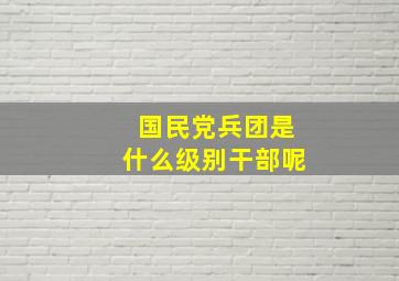 国民党兵团是什么级别干部呢