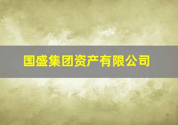 国盛集团资产有限公司