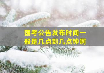 国考公告发布时间一般是几点到几点钟啊