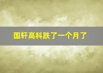 国轩高科跌了一个月了