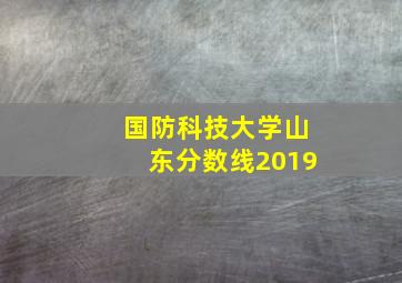 国防科技大学山东分数线2019