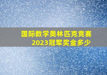 国际数学奥林匹克竞赛2023冠军奖金多少